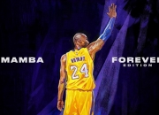 PG中国登录入口-世界杯之夜，浓眉关键进球定乾坤