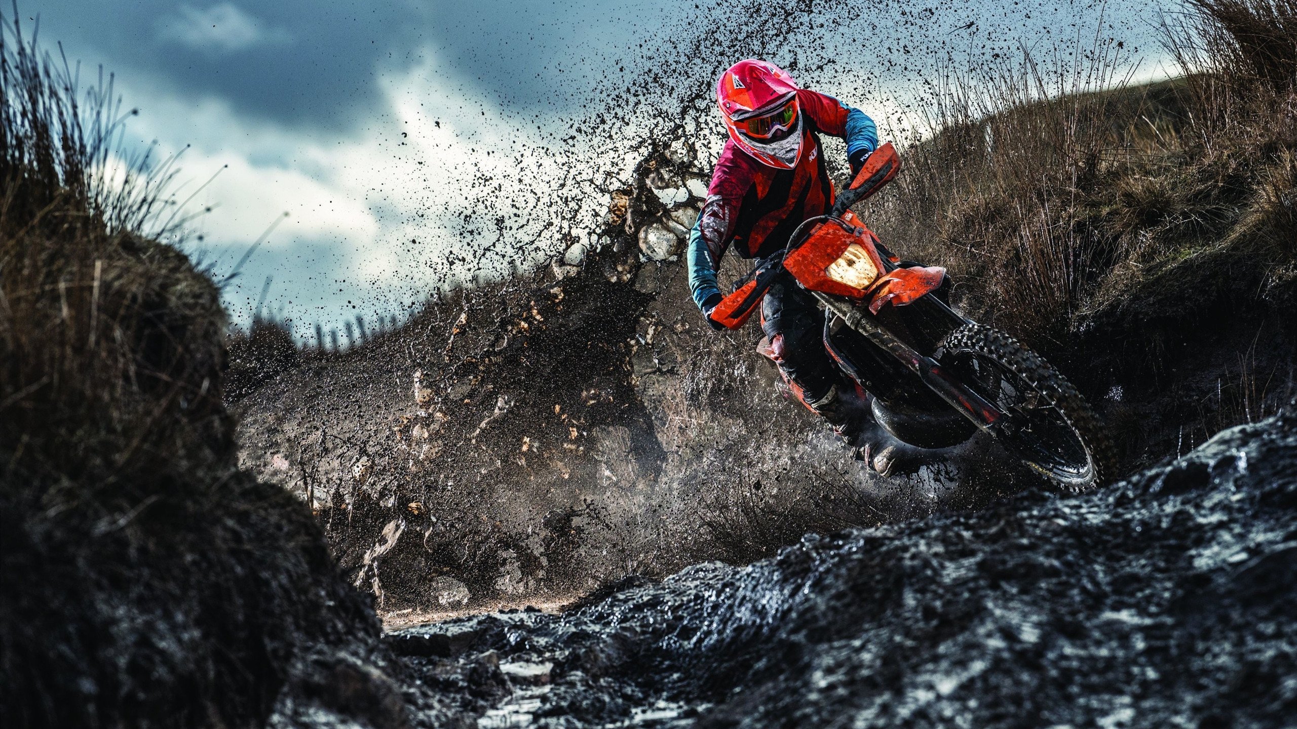 蛰伏与觉醒，黄蜂收割灰熊之夜，福克斯抢七接管传奇